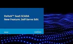 Emerson DeltaVMD PlusC Controller