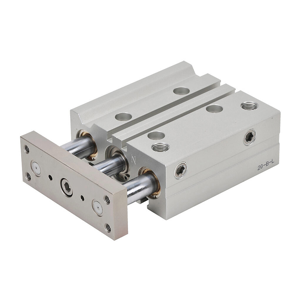 E20M050MD-M - NITRA pneumatic cylinder, dual guide rod, 20mm bore, 10mm rod diameter, 50mm stroke, double acting, magnetic piston, universal mount.