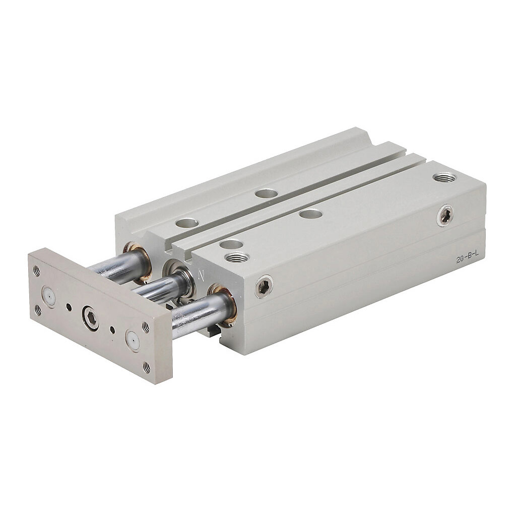 E20M100MD-M - NITRA pneumatic cylinder, dual guide rod, 20mm bore, 10mm rod diameter, 100mm stroke, double acting, magnetic piston, universal mount.