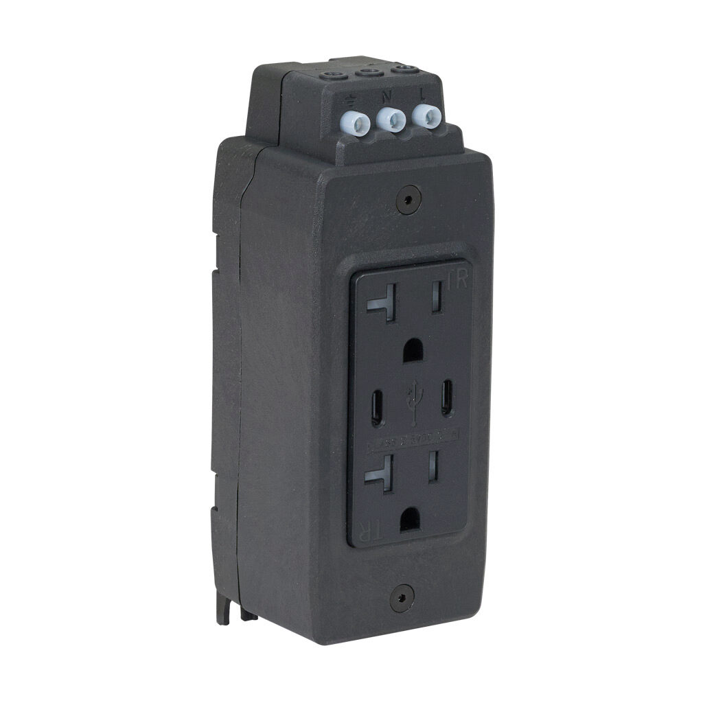 GR-REC2-USB-2C - Gladiator (2) straight blade and (2) USB Type C receptacle, 15A, 125 VAC, 1-phase, 2-pole, 3-wire, nylon housing, panel or 35mm DIN rail mount.