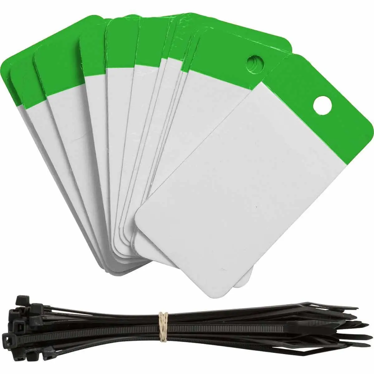 Brady 102000 Self-Laminating Write-On Blank Tag, 4 in H x 2 in W, Polyester, Green, Rectangular Shape