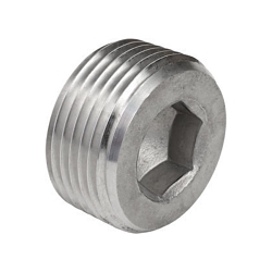 Calbrite S62000CSHP Plug, 2 in, Stainless Steel, Polished