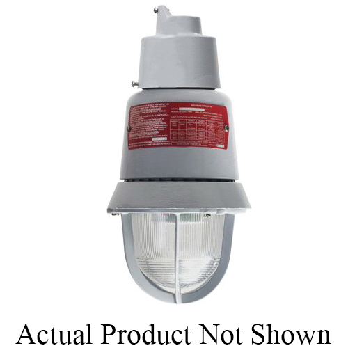 Edwards Signaling AdaptaBeacon® 116EXMLEDG-AQ 116EXMLED Multi-Mode Explosionproof Steady-On Beacon, 24 V AC/DC, LED Lamp, 7-1/4 in Dia, Green Lens