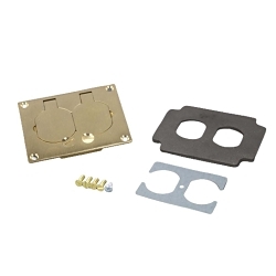 Wiremold Omnibox™ 828R 2-Outlet Assembled Faceplate, 4-3/16 in L x 3-1/8 in W, 1 Gangs, Brass