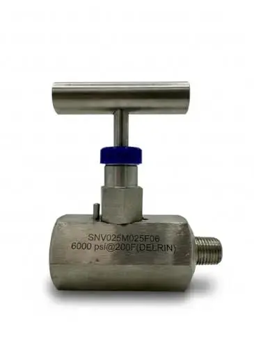 Apache High Pressure Needle Valve SS 6k M195