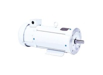 Baldor CDPWD3330 0.5 HP, 1750 RPM permanent magnet DC motor with 56C NEMA frame and Totally Enclosed Non-Ventilated (TENV) enclosure. Designed for was