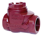 Balon Valve Series D Threaded End Ductile Iron Swing Check Valve 1F-D92-SE