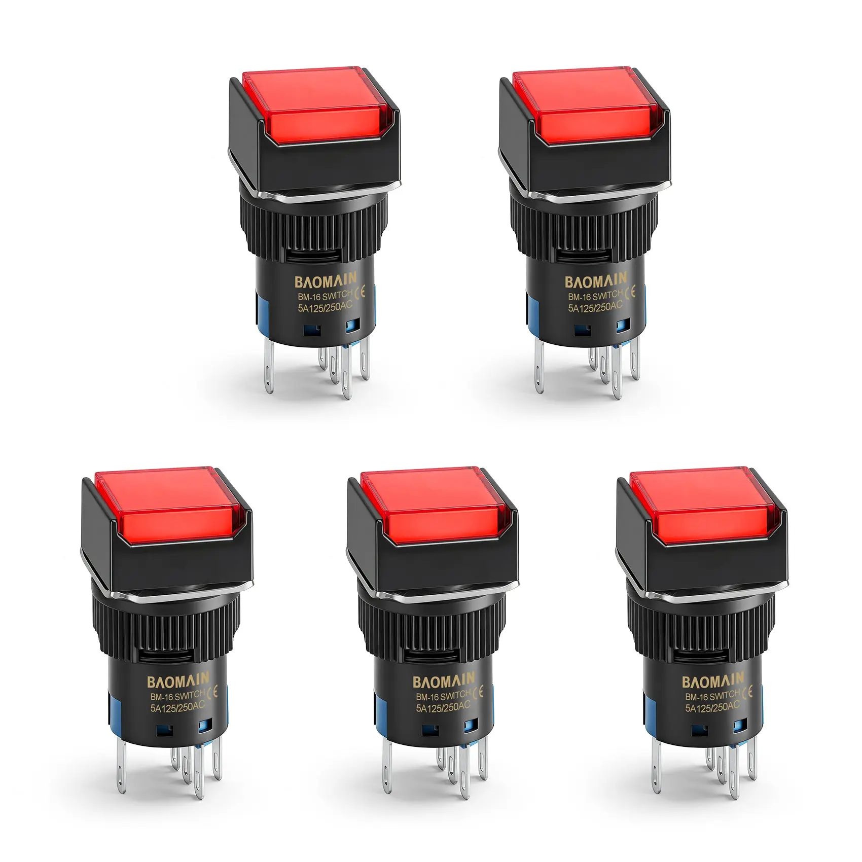 BAOMAIN BM-16SM-R220V