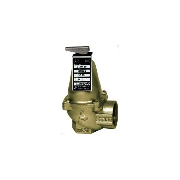 110776 Bell & Gossett Valve