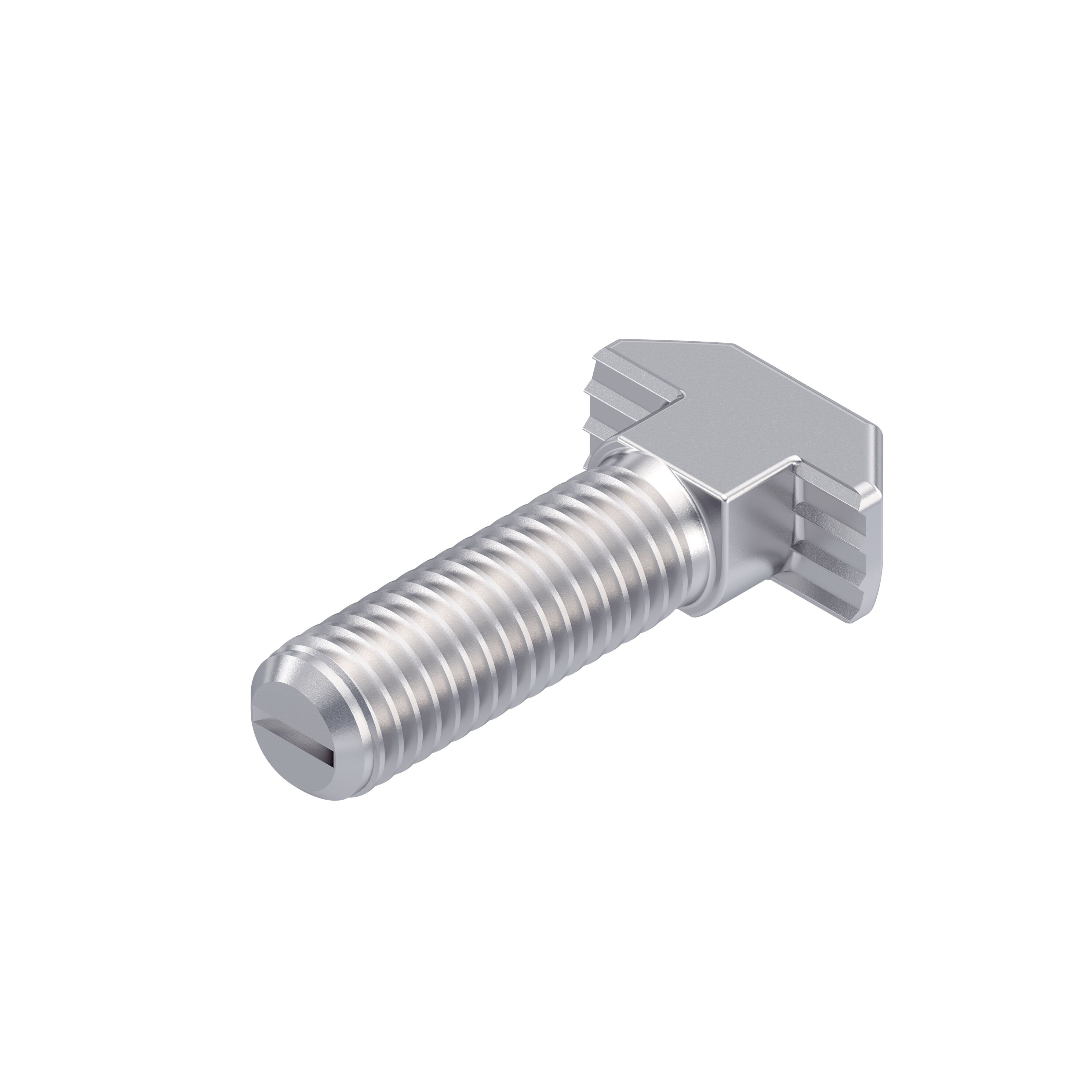 Bosch Rexroth T-HEAD BOLT HS10-M8X30