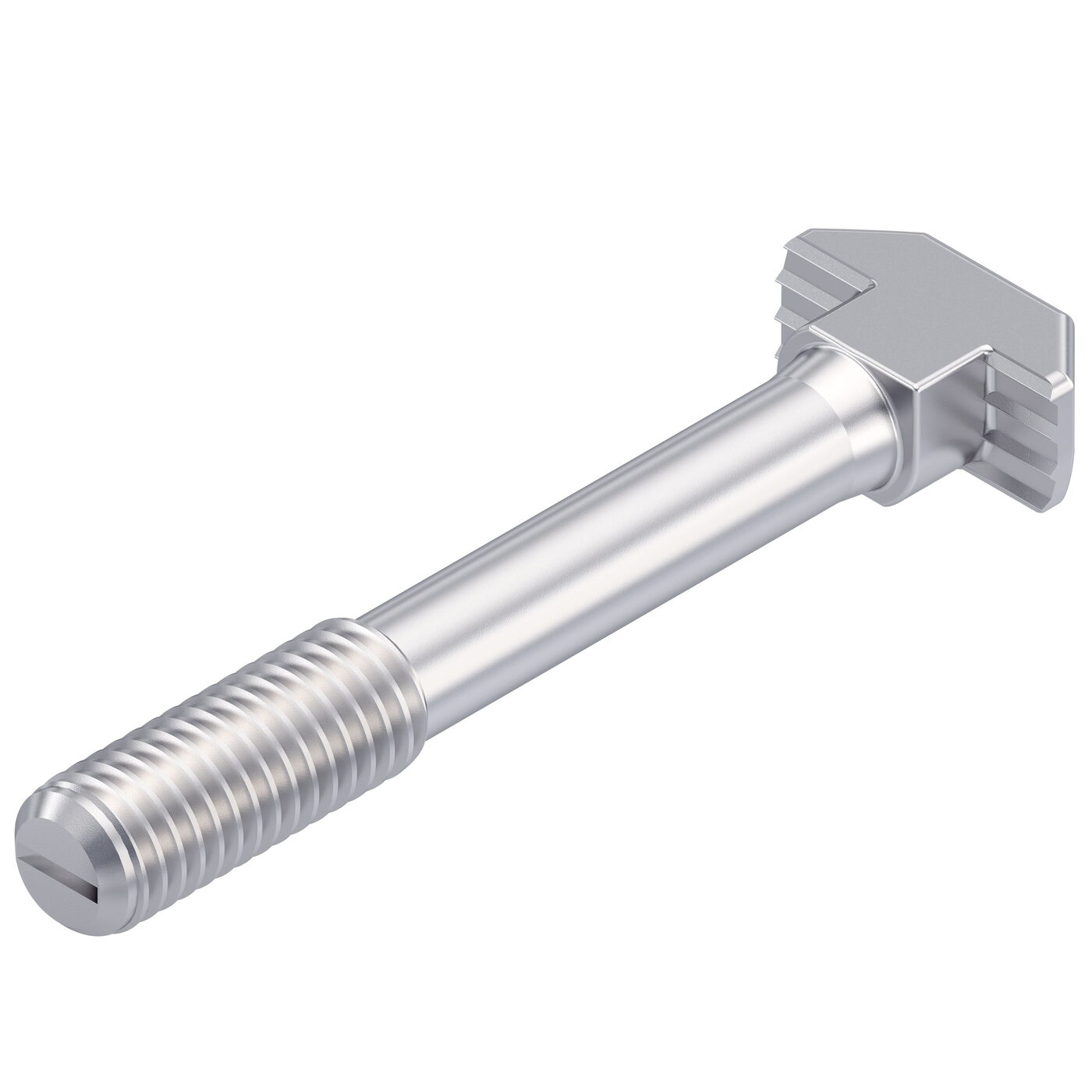 Bosch Rexroth T-HEAD BOLT HS10-M8X60