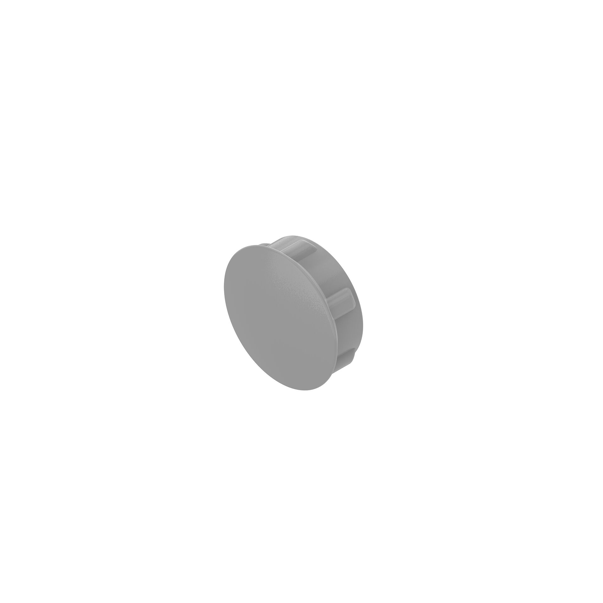 Bosch Rexroth CAP D12 GREY
