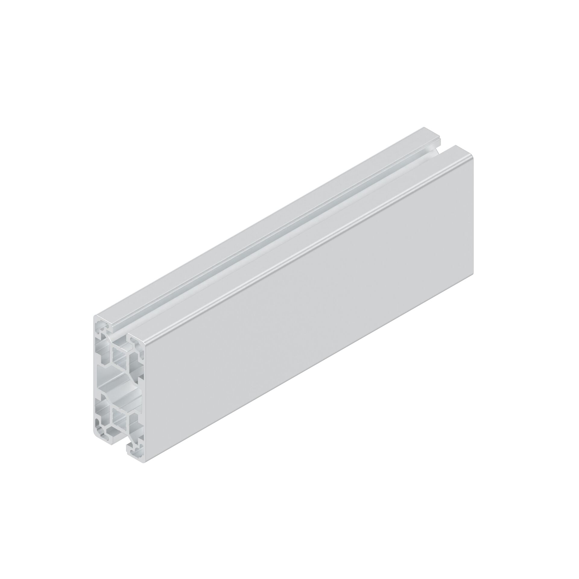 Bosch Rexroth STRUT PROFILE 40X80L 2N 12X6070MM