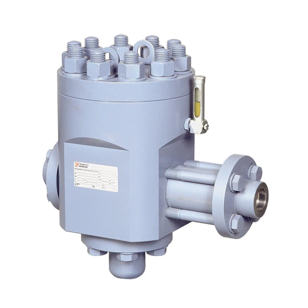 Tartarini Type RLC/20 Pneumatic-Loaded Pressure Reducing Regulators