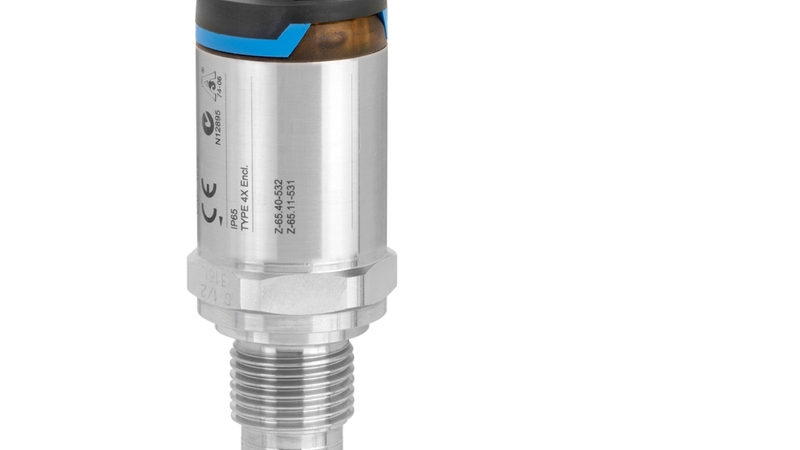 VibronicPoint level detectionLiquiphant FTL31