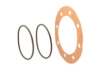 Falk 0785322 10056796 1030G Lifelign gear coupling seal kit for exposed-bolt configurations. Includes lip seals and gaskets for 1030G size crowned-too