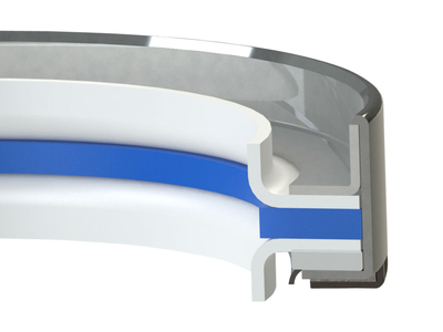 Garlock KLOZURE® Model 61DO Oil Seal