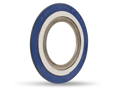 FLEXSEAL® RWI Spiral Wound Metal Gaskets