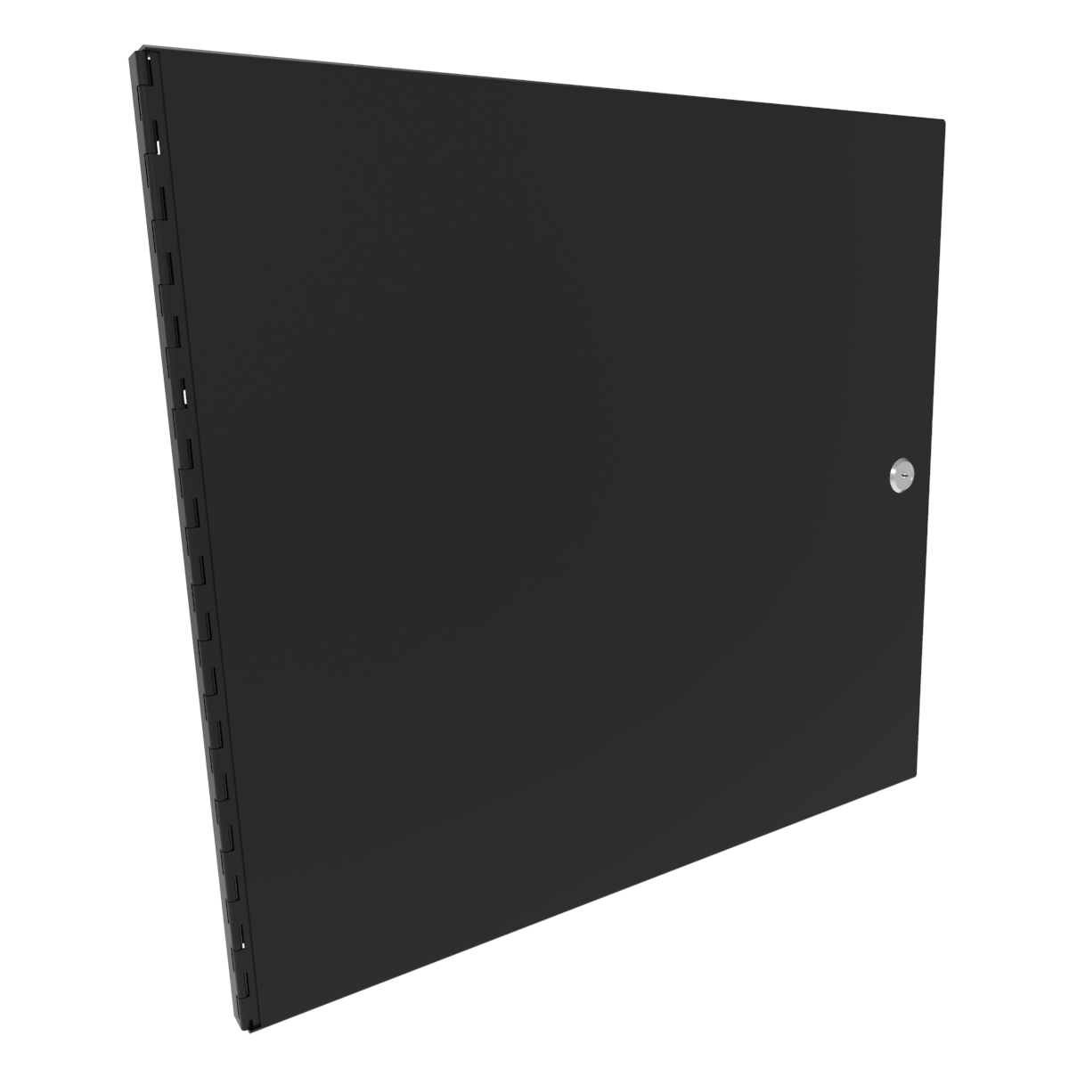 Hammond Manufacturing 10U SOLID RACKMOUNT DOOR BLK (RSDP19017BK2)