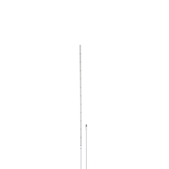LED strip RGBW - DV1253