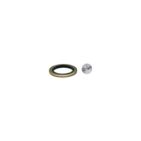 Damping screw for pressure sensors - E30044