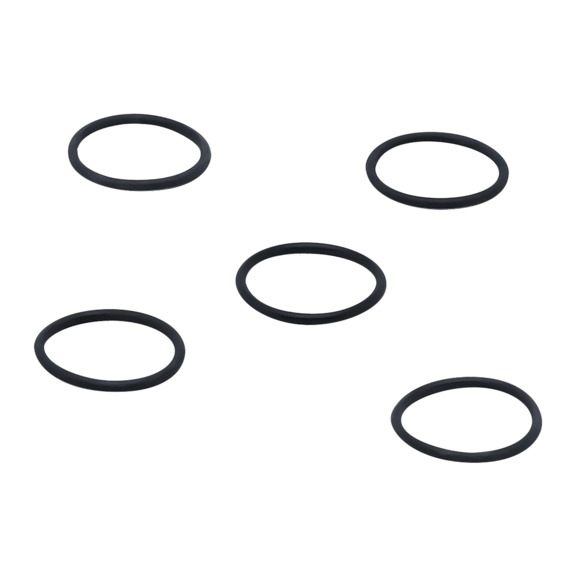 O-ring - E30054