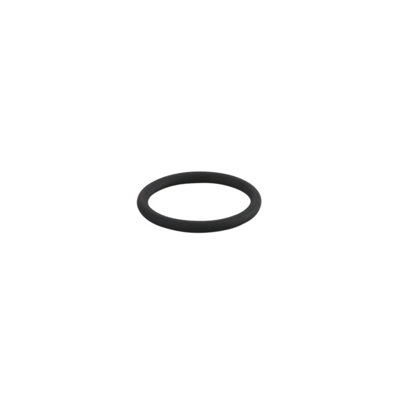 O-ring - E30437