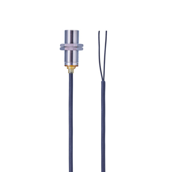 IFM Inductive sensor - IGS319