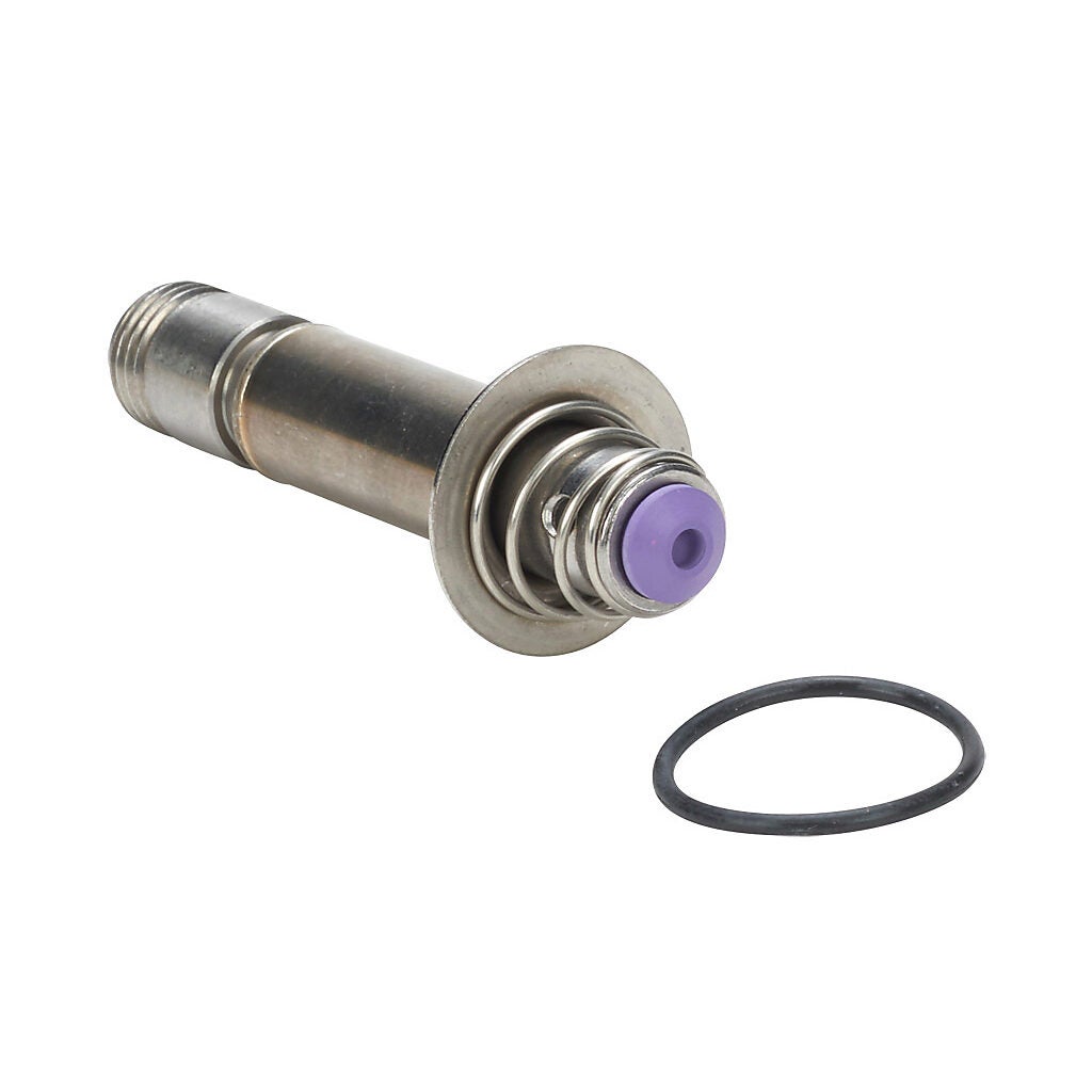 GC Valves rebuild kit - KS301AF02E7-NSF
