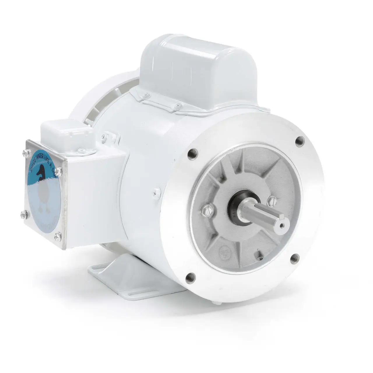113581.00 Leeson |  1/2 hp 3600 RPM 56C Frame (Rigid Base) C-Face 115/208-230V Wash Down Duty