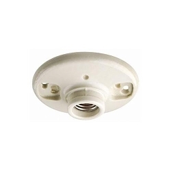 Leviton 49875 - Industrial LED Lighting