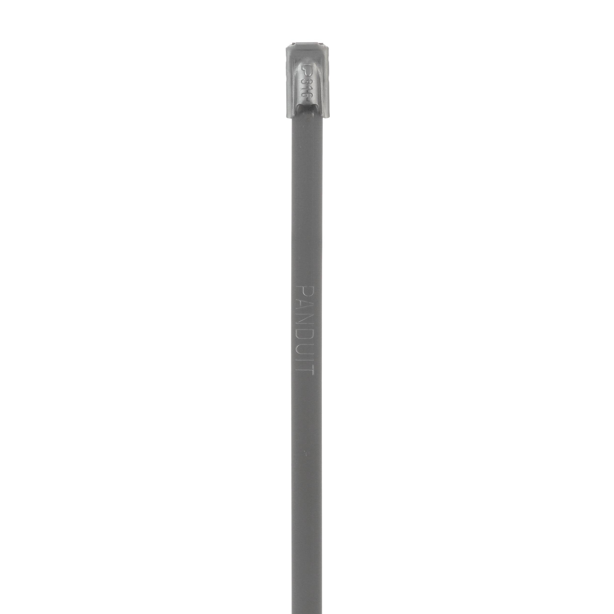 Panduit MLT2S-CP316 - General Purpose Cable Ties
