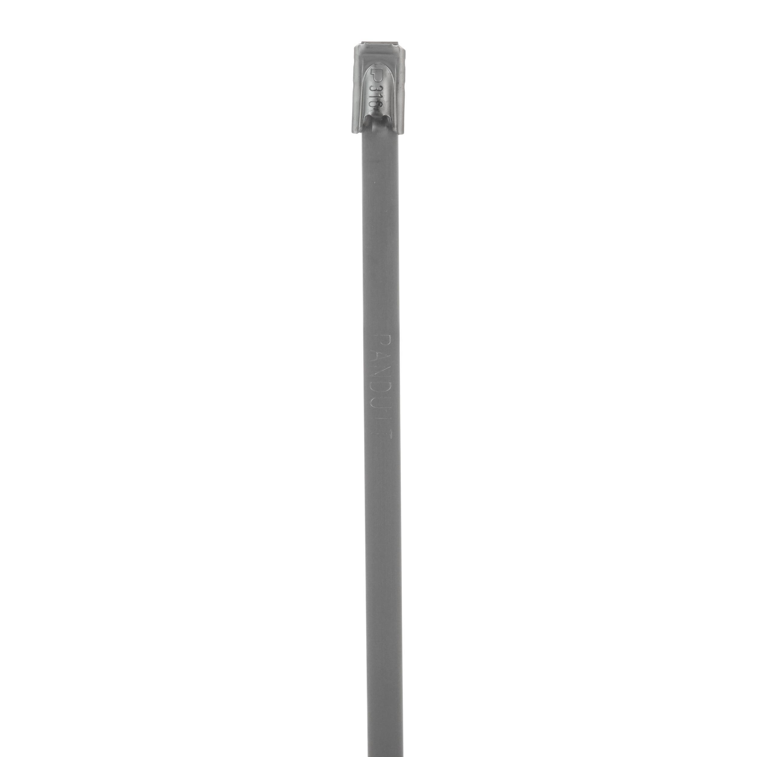 Panduit MLT6S-CP316 - General Purpose Cable Ties