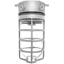 RAB Lighting VX100DG-3/4 - Industrial LED Lighting