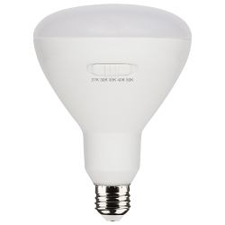 SATCO S11781 - Industrial LED Lighting