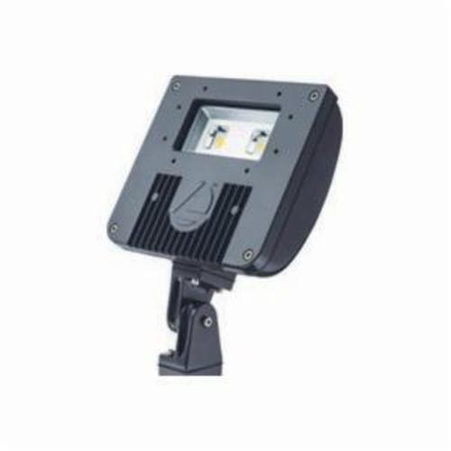 Lithonia Lighting DSXF1/2TS DDBXD U