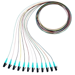 Panduit NKFPX1BN1NKM001
