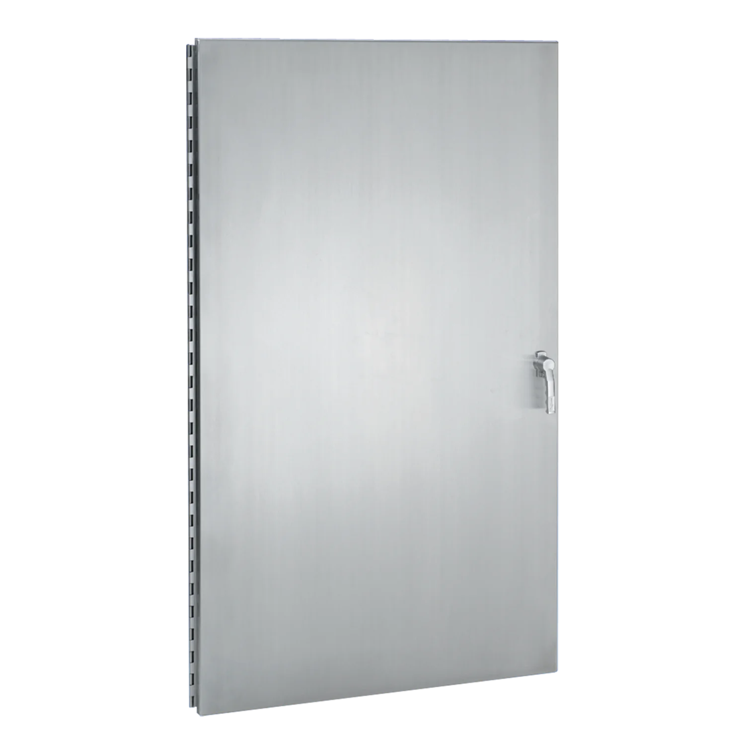 SSLP/SSLP3PT Replacement Door with 3 Point Latch, Type 4X, fits 36x24, SS 316