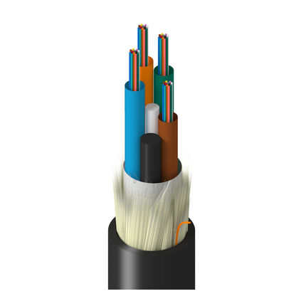 Belden TT-SLD-048-LRNN