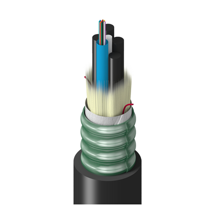 Belden TF-SLG-012-RS5N