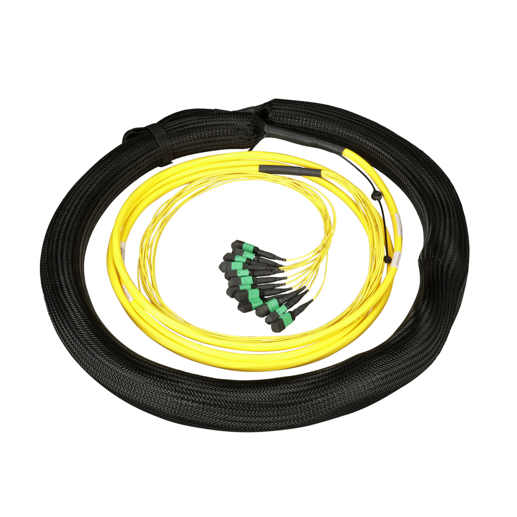 Panduit F8RNM5ENNAAM010