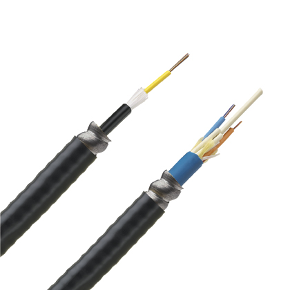 Panduit FOMPZ24Y