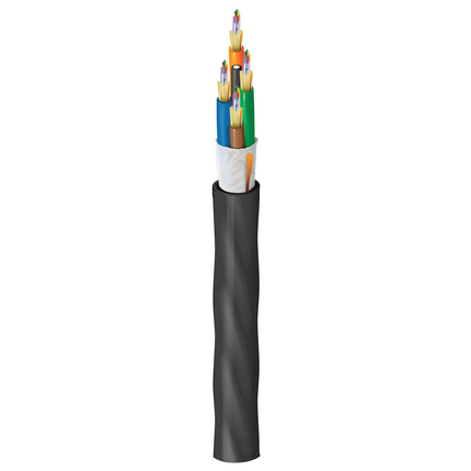 Belden FDSD048PK