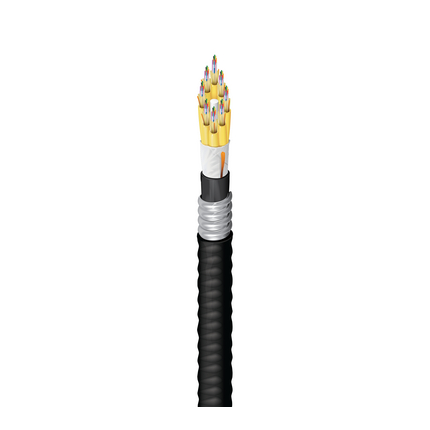 Belden FDSD096FK