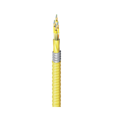 Belden FISD024FJ