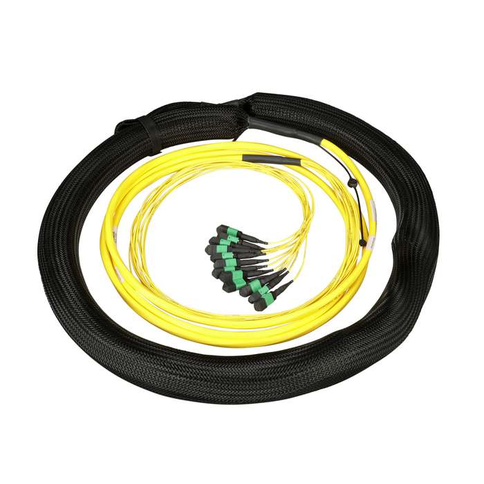 Panduit F8BNM5E5EAAM100