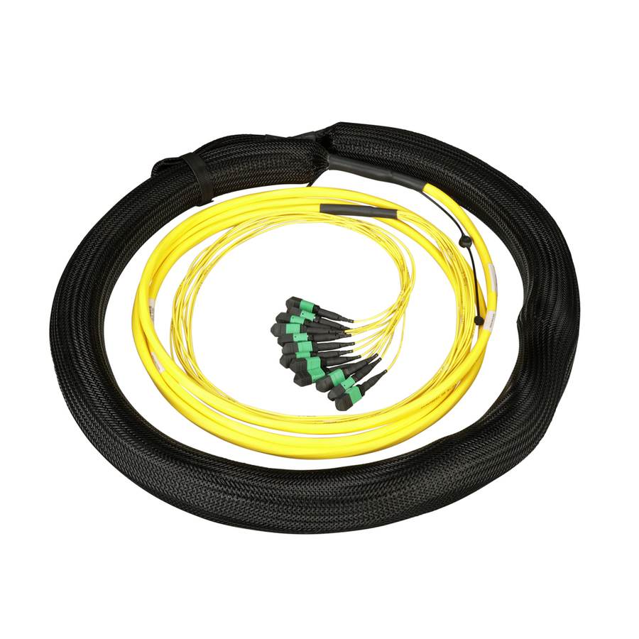 Panduit F8NNM5ENNAAM100