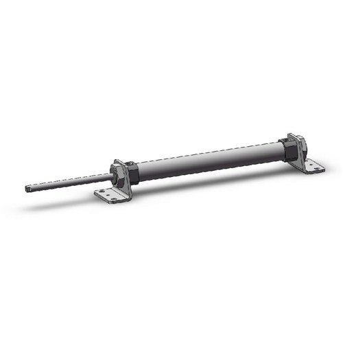SMC CM2L20-100TFZ