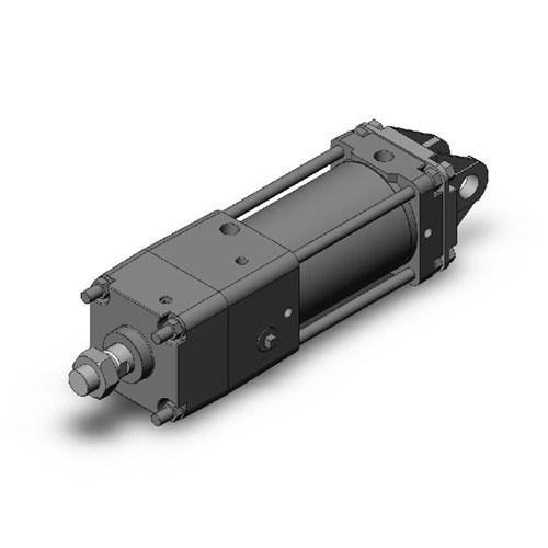 SMC CNA2D100-100-D