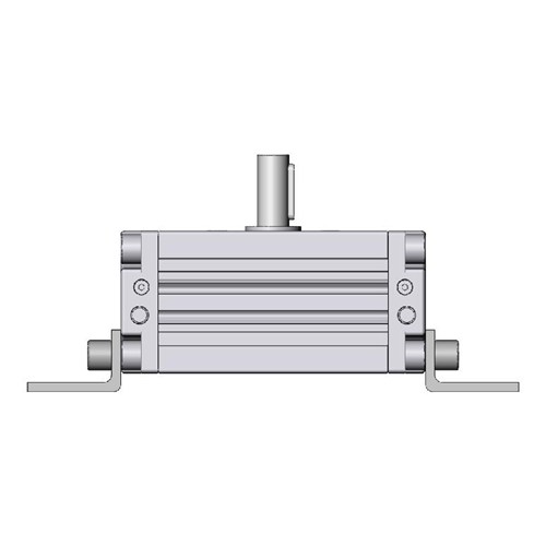 SMC CRA1LS63-100CZ